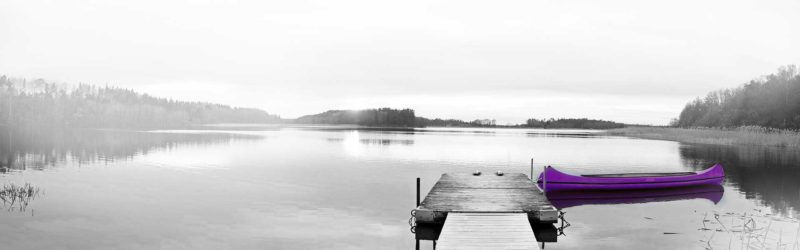 Lake with purple paddle boat header