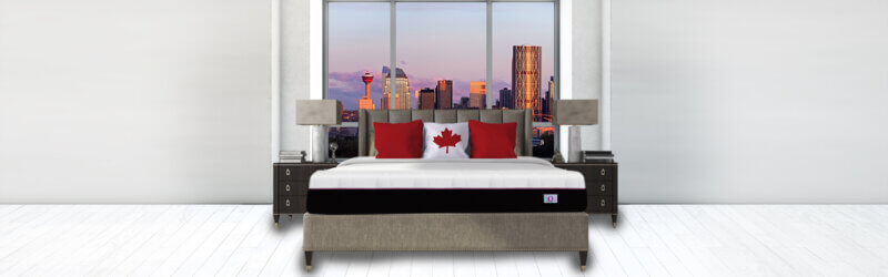 Omni Mattress Home Banner Bed with Canadian Pillow