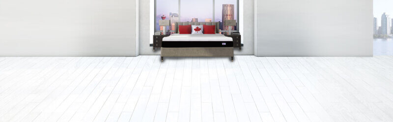 Omni Mattress Home Banner Bed with Canadian Pillow