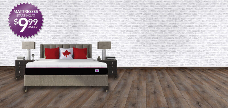 Omni Mattress Home Banner Bed with Canadian Pillow