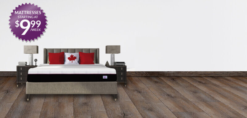 Omni Mattress Home Banner Bed with Canadian Pillow