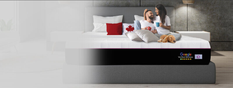 Omni Mattress Banner Couple with dog in a bed