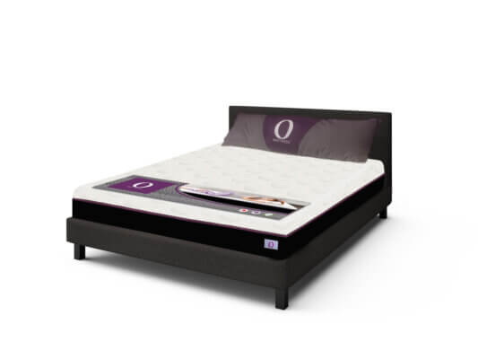 Omni Upholstered Bed With Mattress - Queen Size