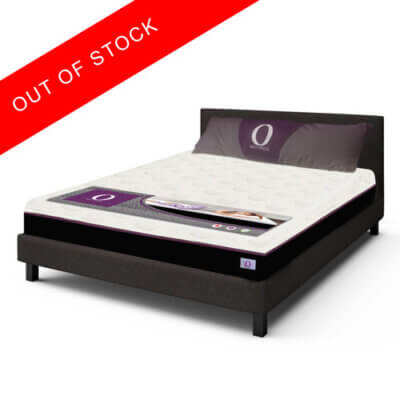 Omni UpHolstered Bed with Headboard and Mattress - Queen Size