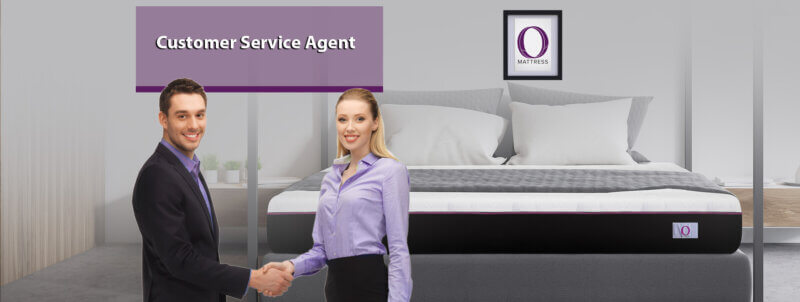 Customer Service Agent Career