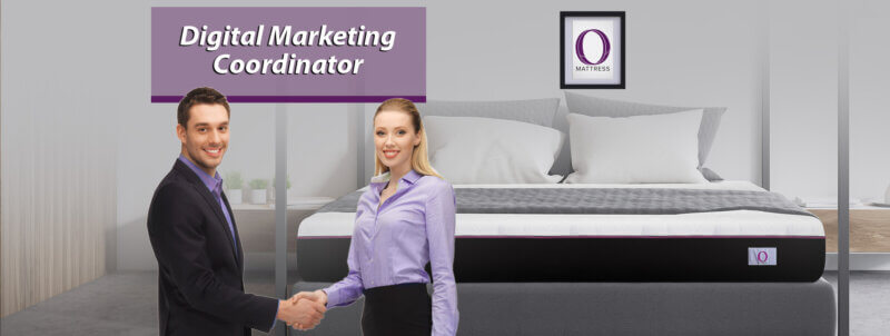 Digital Marketing Coordinator Jobs
